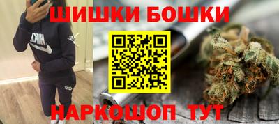 прущие грибы Славгород