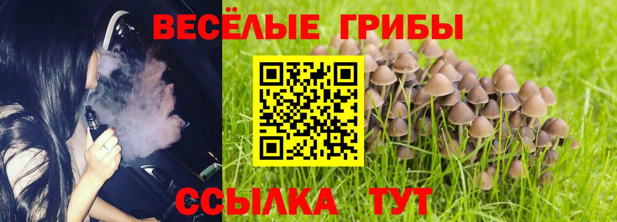 Ноябрьск  купить  сайты  Вход с VPN  Галлюциногенные грибы Psilocybe 